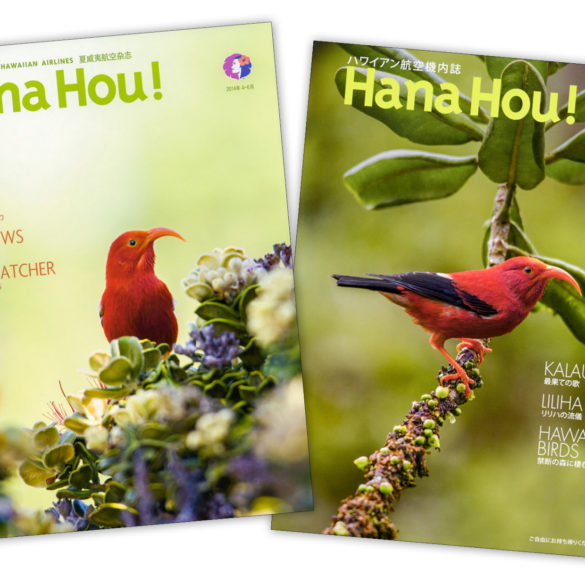 Hana Hou! Magazine (Iiwi)